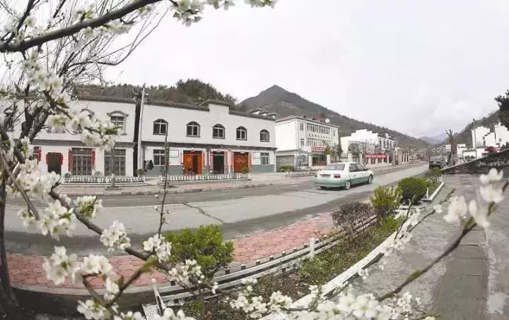 三年评先进,湖北表扬的10个县