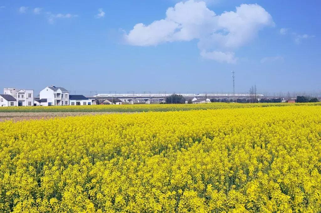 中国三年一评,三年评先进