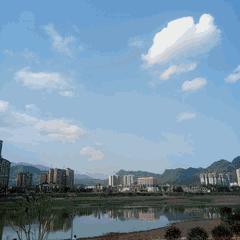 雅安桃花岛桃花开了没有,雅安桃花岛景区