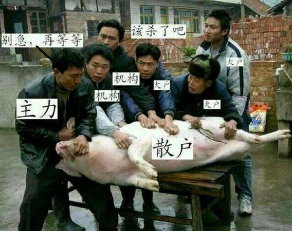 特币的发展,特币发展趋势如何