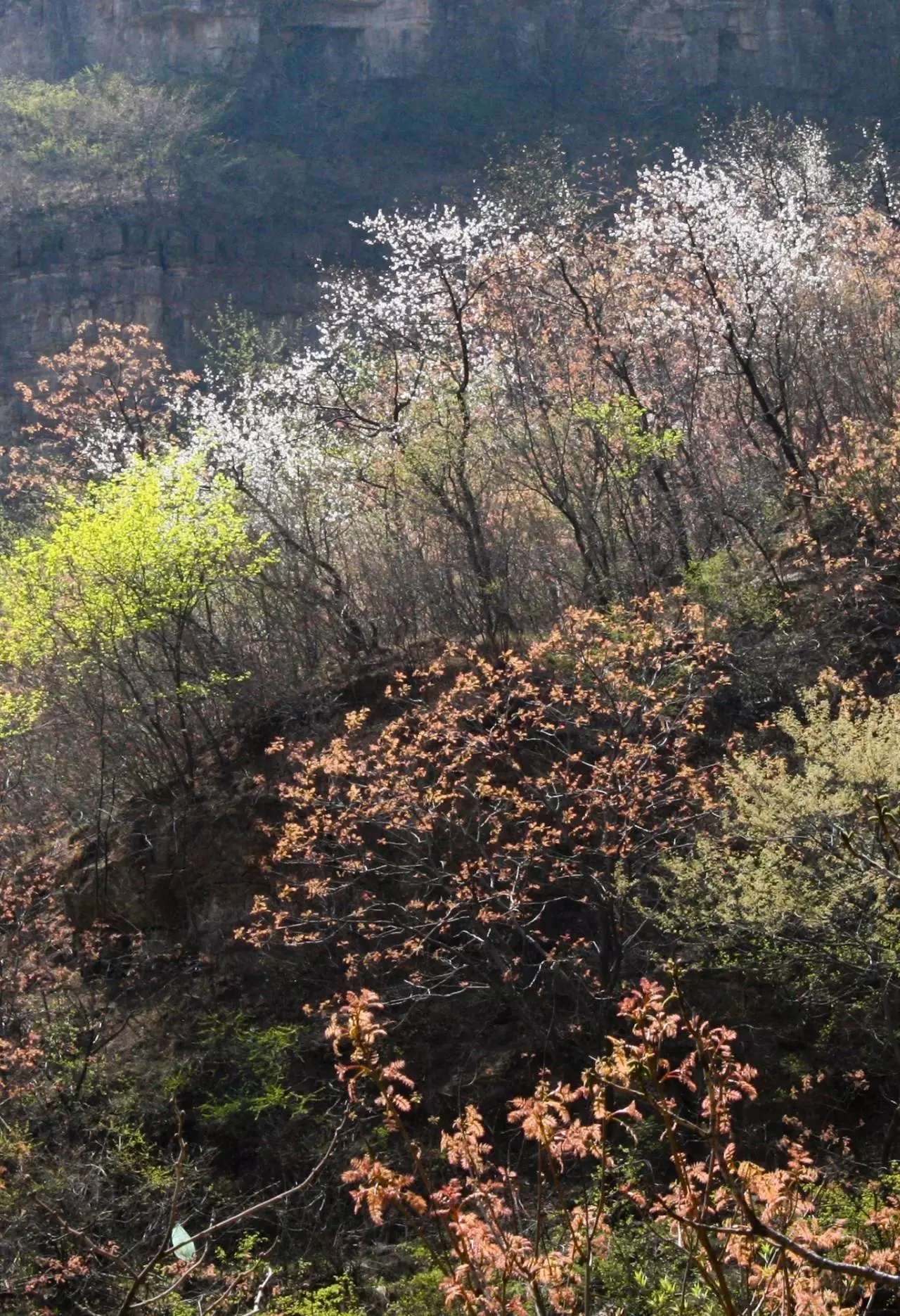 易县云蒙山皇家森林公园附近爬山,易县周边适合带孩子爬山的地方