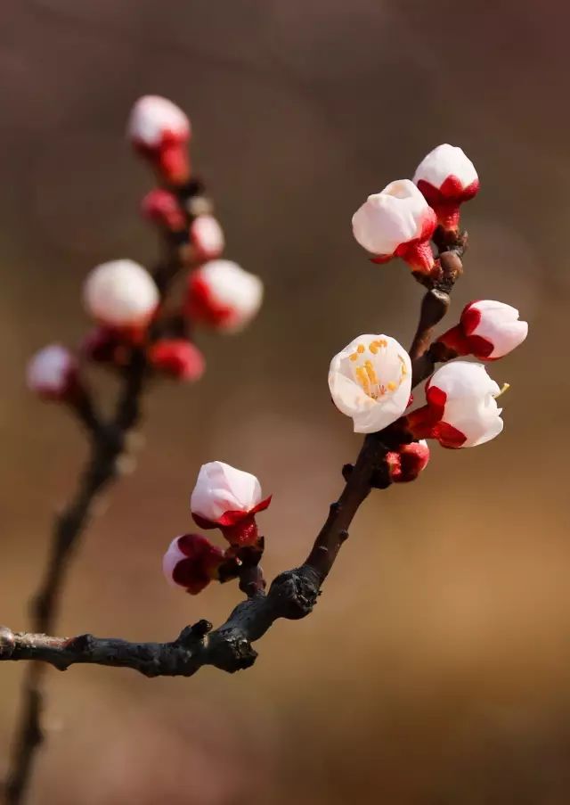 易县云蒙山皇家森林公园附近爬山,易县周边适合带孩子爬山的地方