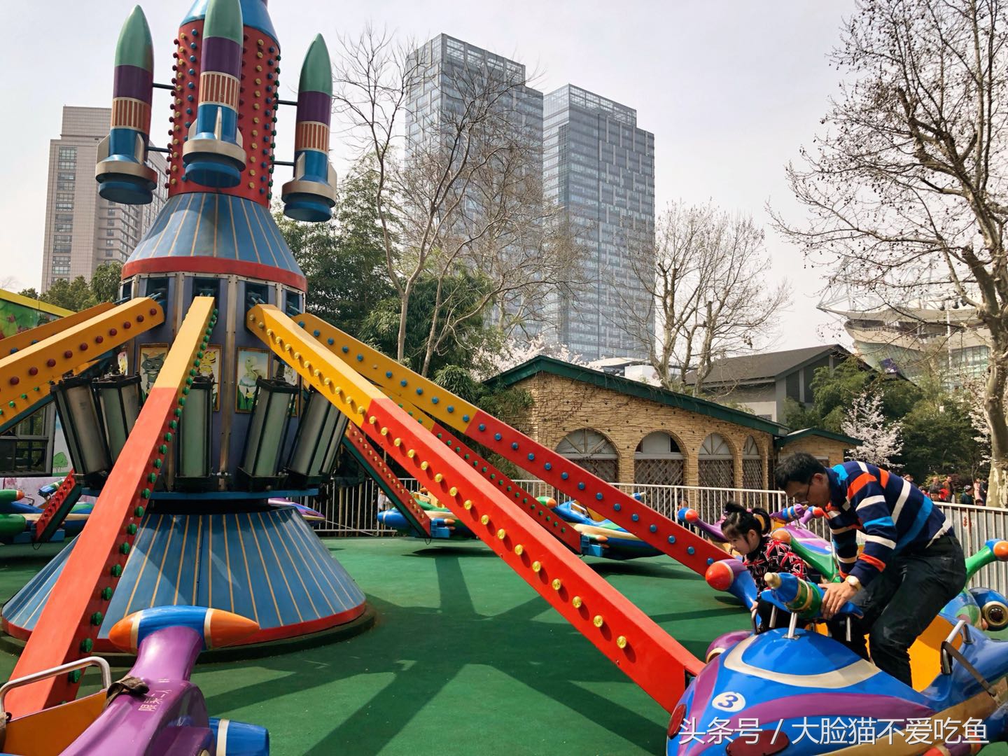 上海都市频道我和春天有个约会,与春天来个最美的约会