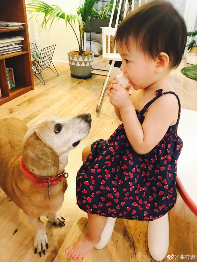 萌娃拍照怎么拍出高级感,拍摄萌娃技巧有哪些