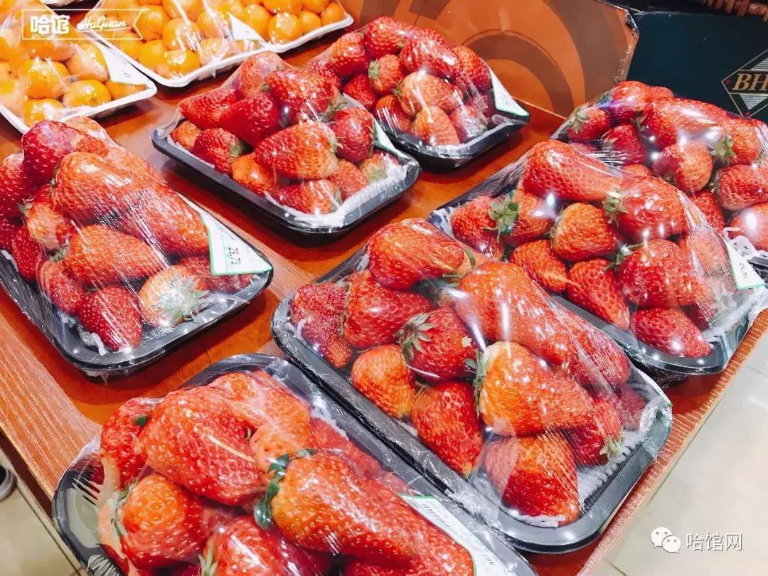 刷爆清迈的草莓芭乐饮火了一圈来到哈尔滨超高颜值自带滤镜