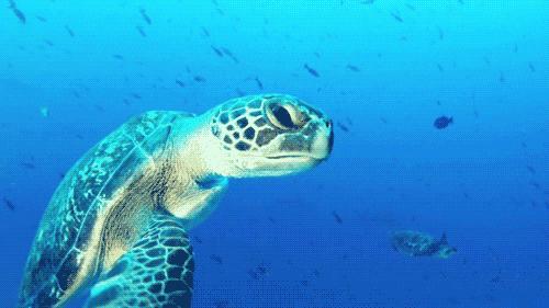 厦门便宜机票,厦门旅游特价机票多少钱啊现在