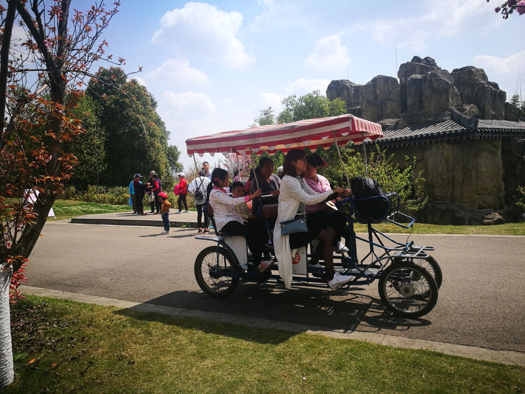 青白江凤凰湖樱花门票多少钱,青白江凤凰湖看樱花