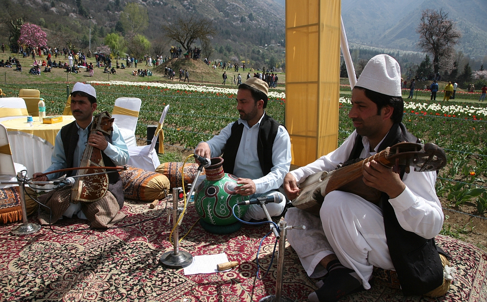 郁金香花语世界,全球独一无二的郁金香花园