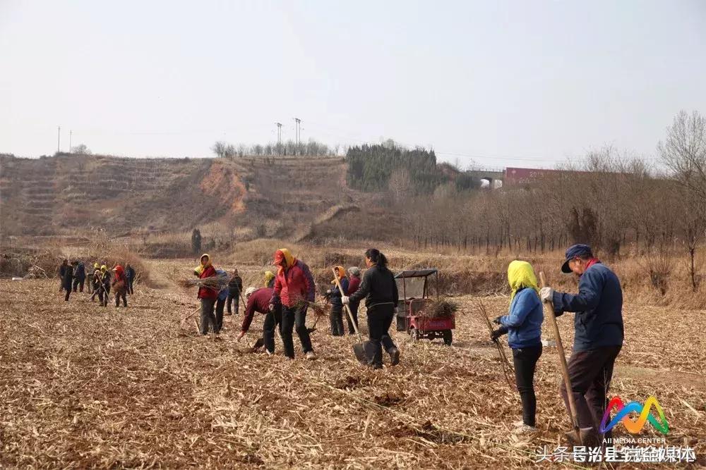 柳林屯乡土地流转,柳林经济转型