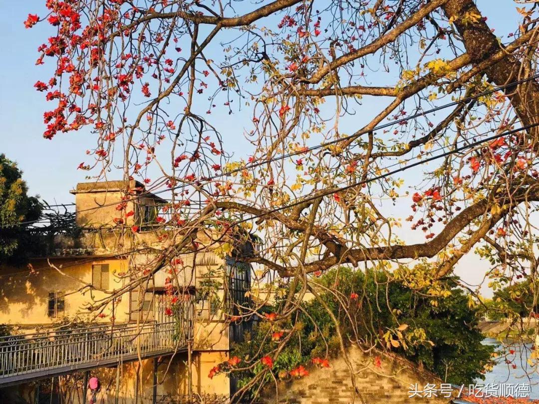 东京芝士料理 (旧街上的芝士料理)