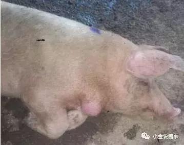 牙龈长脓包怎么治疗,脓疱病怎么治疗最快