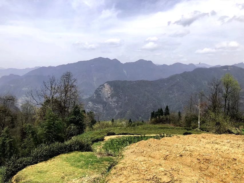 你的粉丝都是真爱粉吗,粉丝重要还是粉丝质量重要