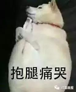 朋友圈“海外代购”发国外上课照片、晒带货视频……全！靠！演！