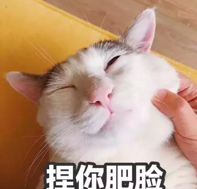 从入门级到贵妇级精华种草心得,从入门到高阶最全护肤步骤