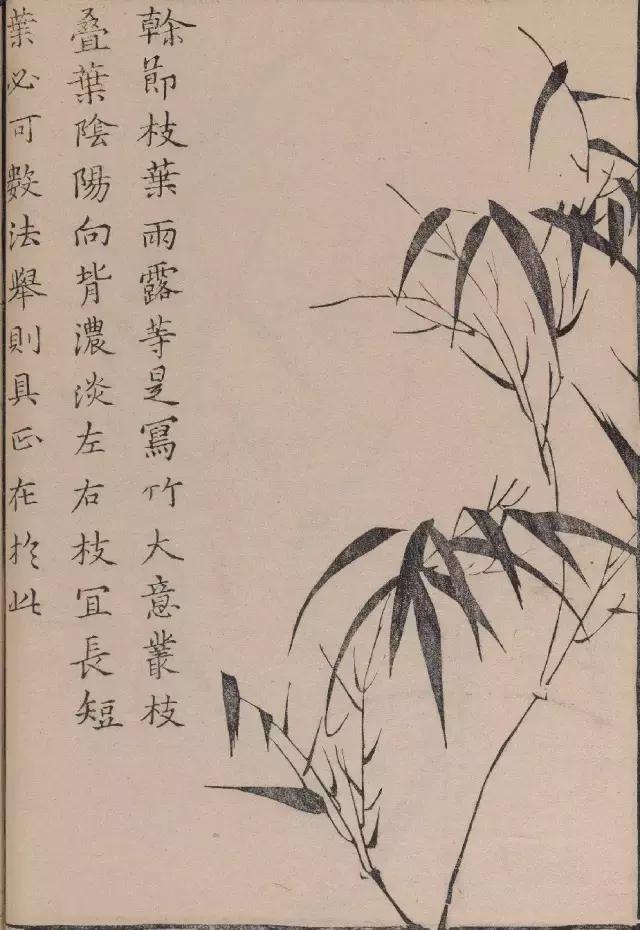 芥子园竹谱高清临摹,芥子园画谱原文
