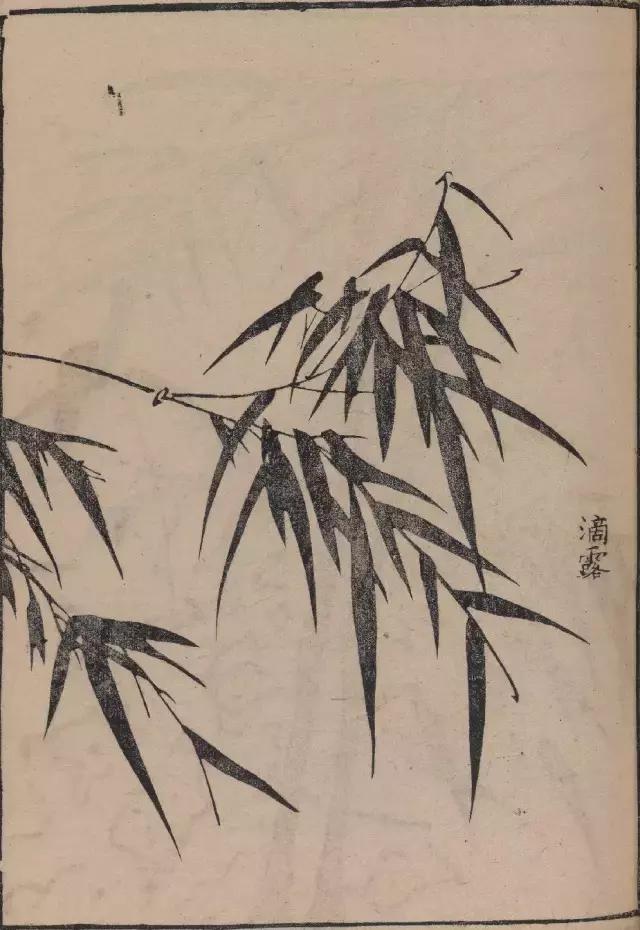 芥子园竹谱高清临摹,芥子园画谱原文