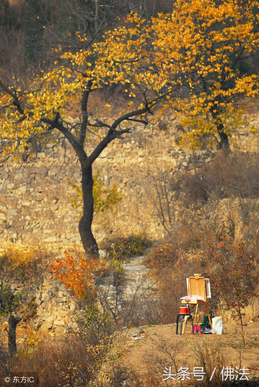 佛教对风水有什么看法,佛教怎样看待命相