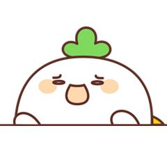 有哪些适合新手用的平价彩妆推荐,日常好用的平价彩妆走一波