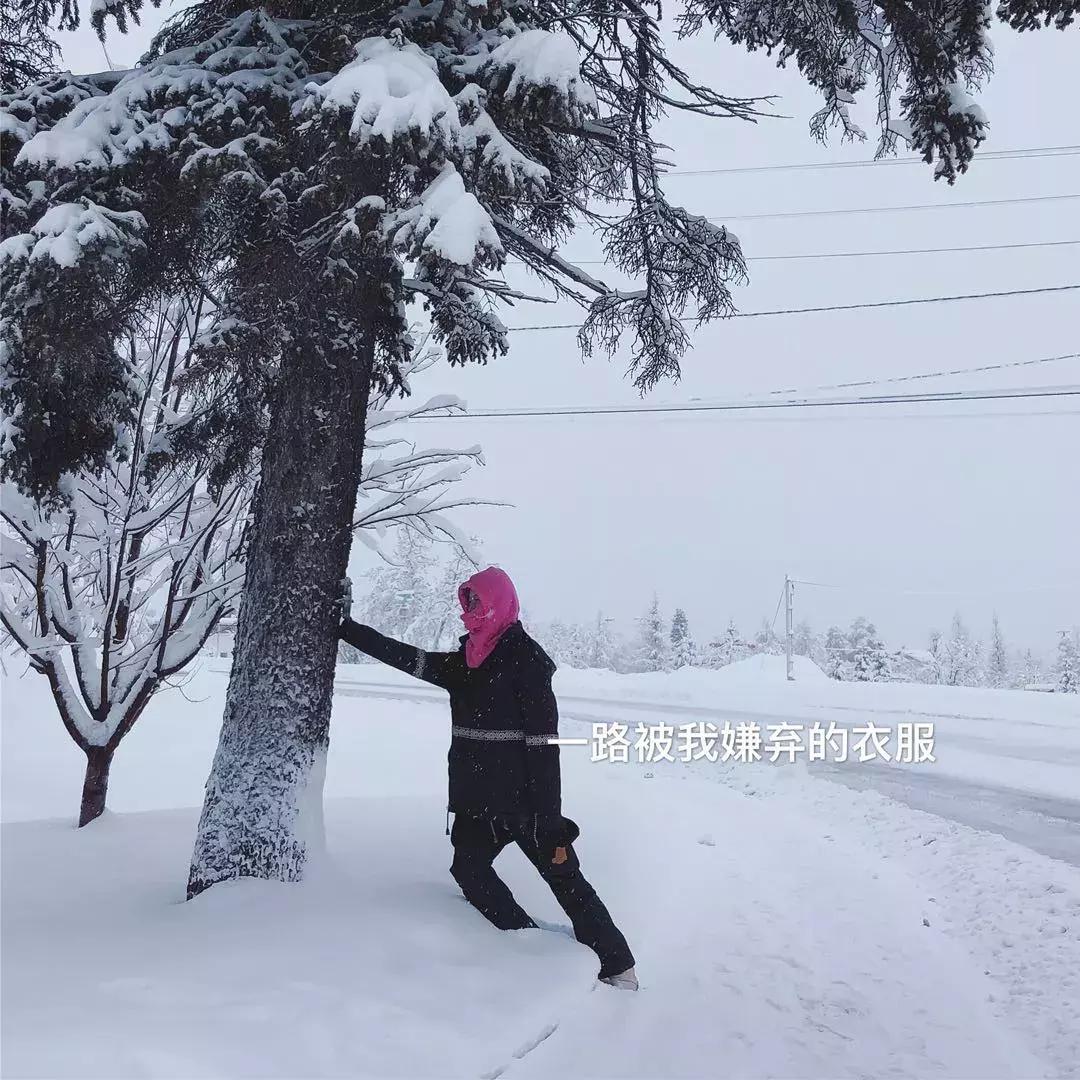 一生一定要去一次夏威夷,一生一定要来的地方洛杉矶