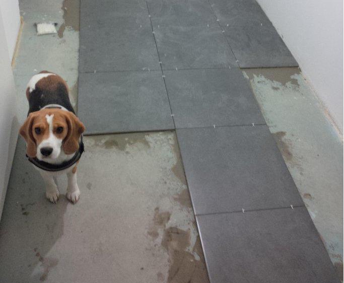 德国瓦工都这样铺地砖，几十年不出问题，我国师傅要学的还很多！