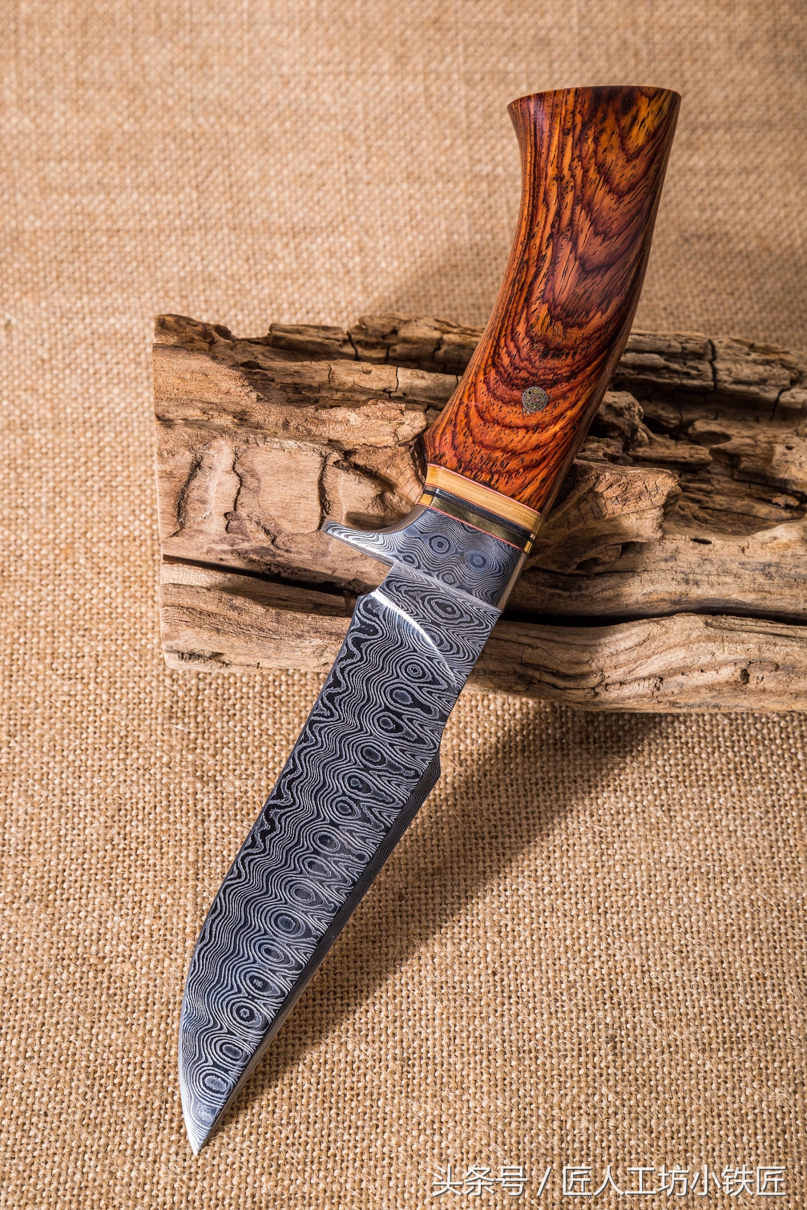 大马士革钢传奇：龙血淬火