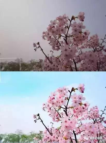 手机摄影软件推荐app苹果,用什么拍照app拍出来照片更好看