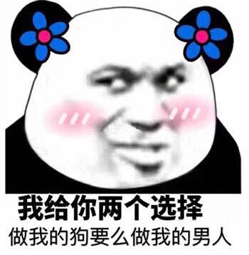 小猪佩奇斗图,小猪佩奇身上纹掌声送给谁图片