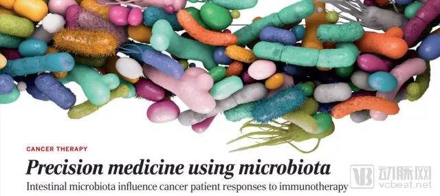 真·缘“粪”！一坨大便，让这个公司深耕三年获得两次融资