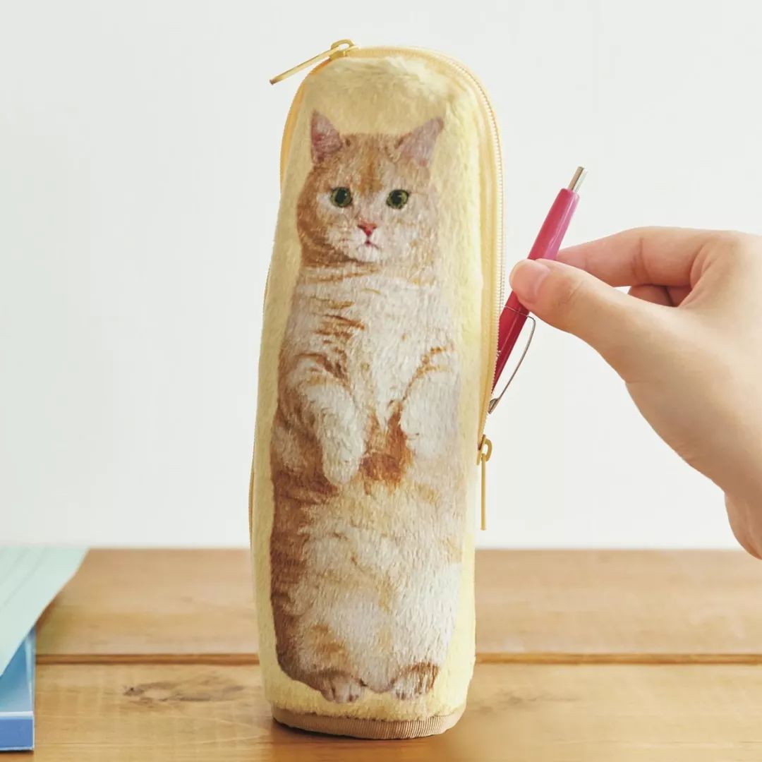 放开我的钱包啊！令猫奴闻风丧胆的种草大会！