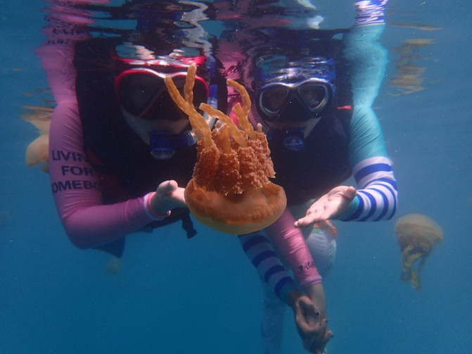 太平洋上的美丽岛屿,太平洋绝美海岛