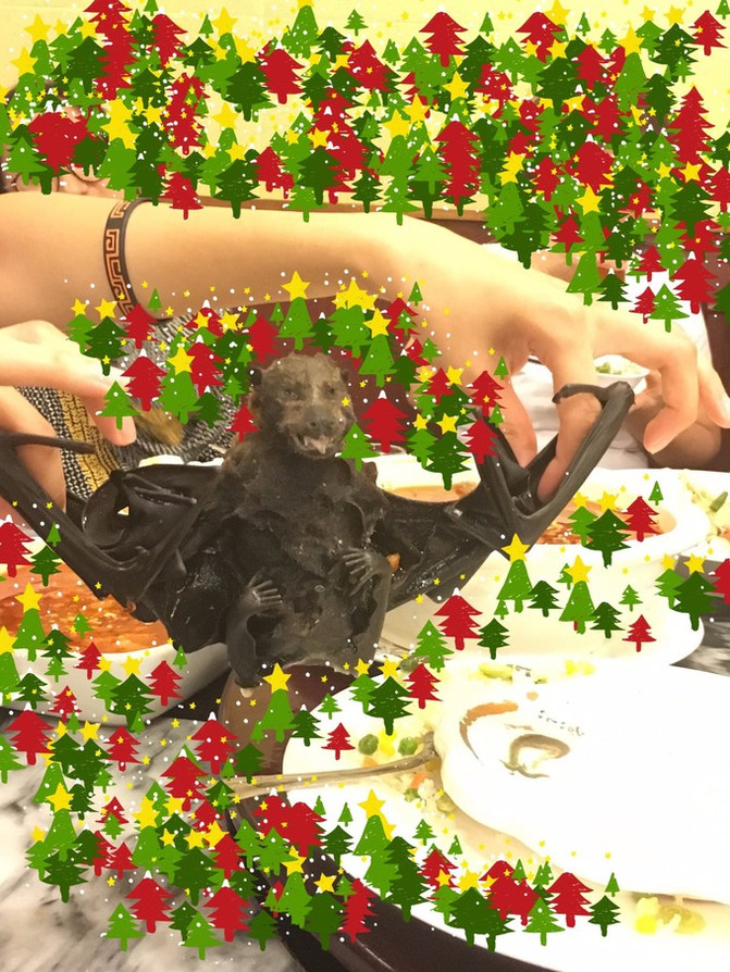 太平洋有名的海岛,太平洋岛国帕劳地理位置