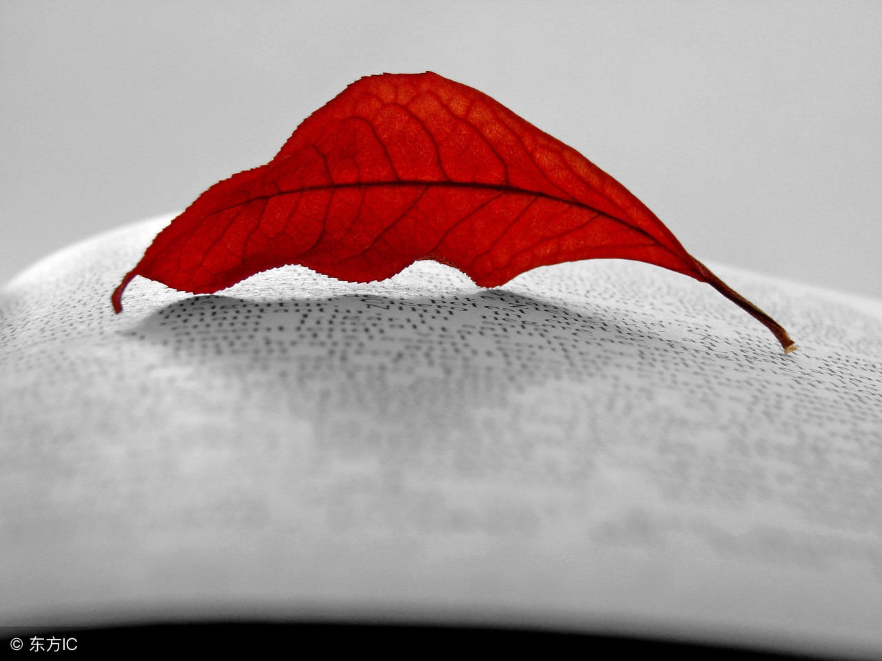 文学的审美意蕴,文学意蕴的内涵