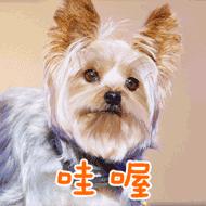 确认过的眼神是我想宠的人,确认过眼神是我想撩的灵魂