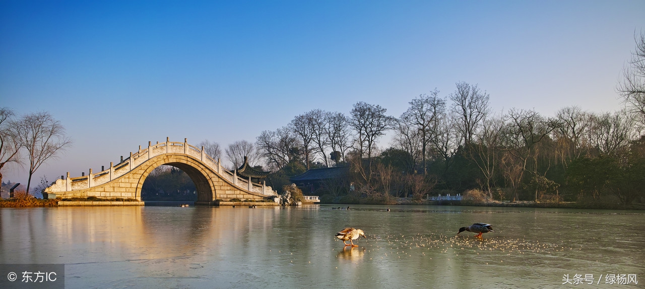 春节扬州瘦西湖门票免费吗,喜大普奔最新信息