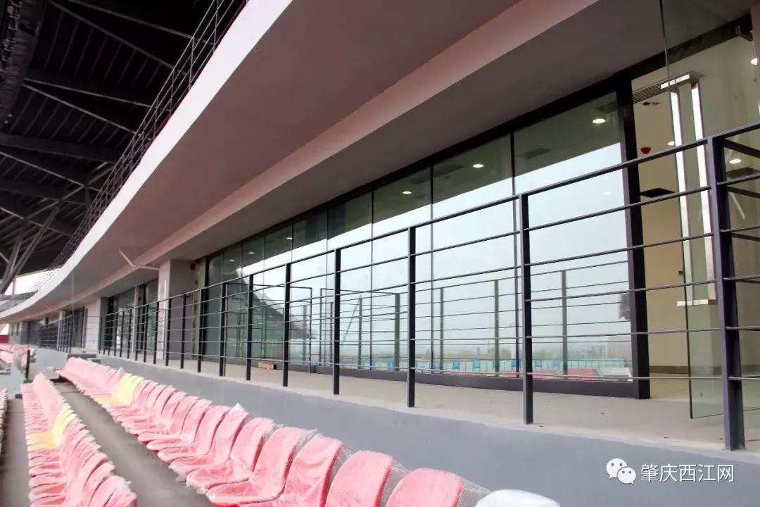 广东肇庆最大的工业园的足球场,广东肇庆专业足球场