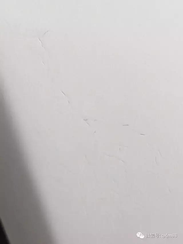 揭秘汽车喷漆内幕,汽车喷漆的总结与体会