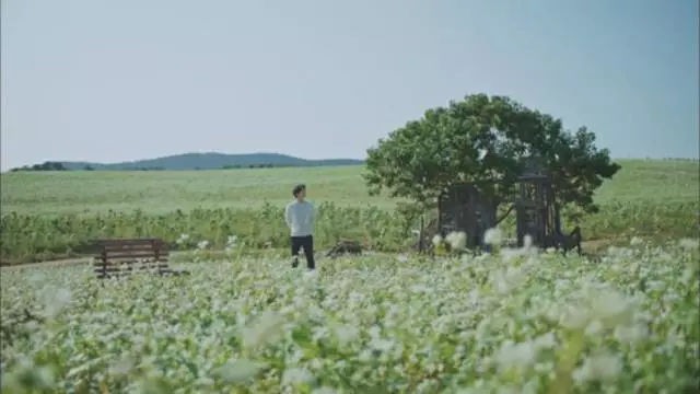 如果一定要不负*光春**不负花，选这2个地方就够了