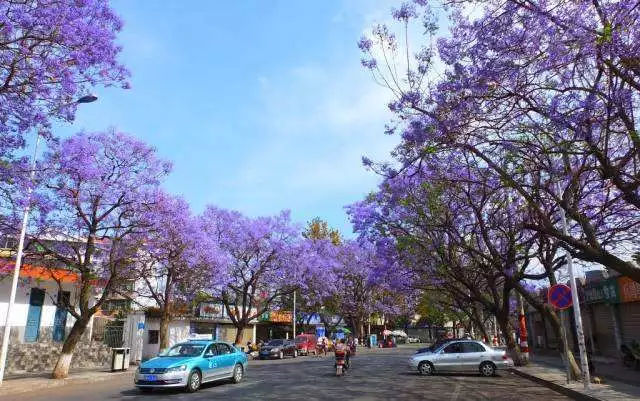 如果一定要不负*光春**不负花，选这2个地方就够了