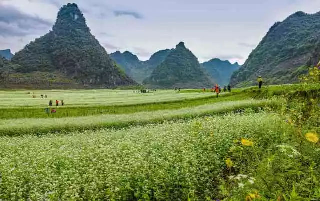 如果一定要不负*光春**不负花，选这2个地方就够了