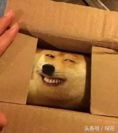 看到这些雷人的快递包装,我的内心是崩溃的!