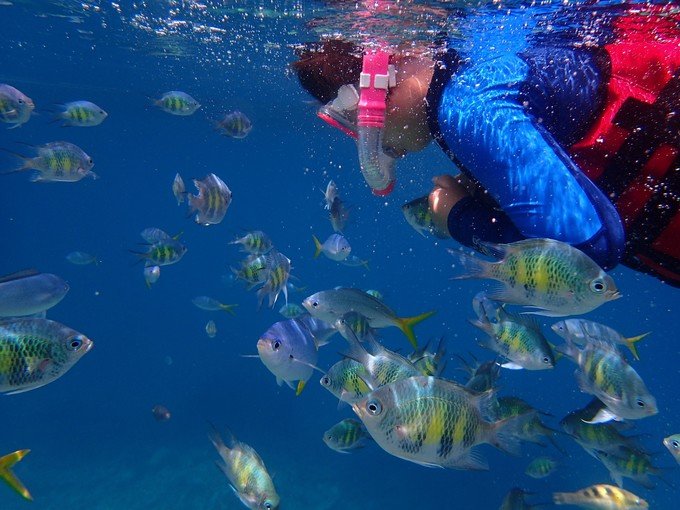 带着我的宝贝豆豆|一起去西太平洋上的海岛国家！