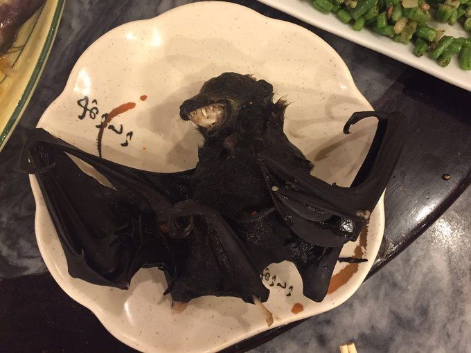 带着我的宝贝豆豆|一起去西太平洋上的海岛国家！