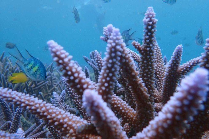 宝贝喜欢小金鱼,宝贝喜欢玩水