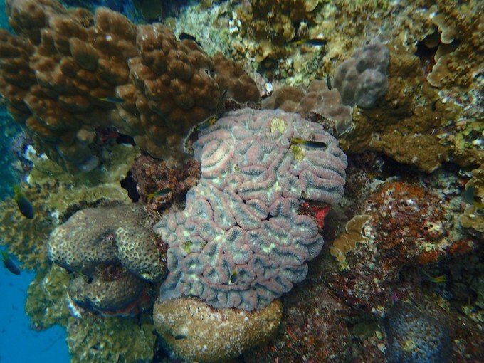 宝贝喜欢小金鱼,宝贝喜欢玩水