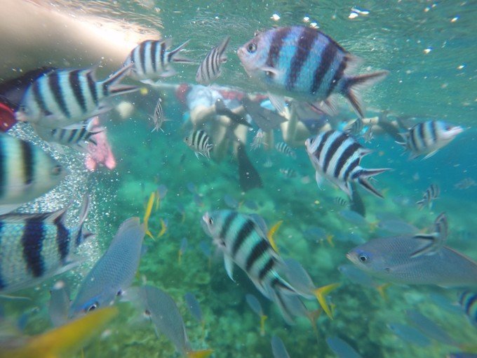很少人知道的海岛国家！帕劳