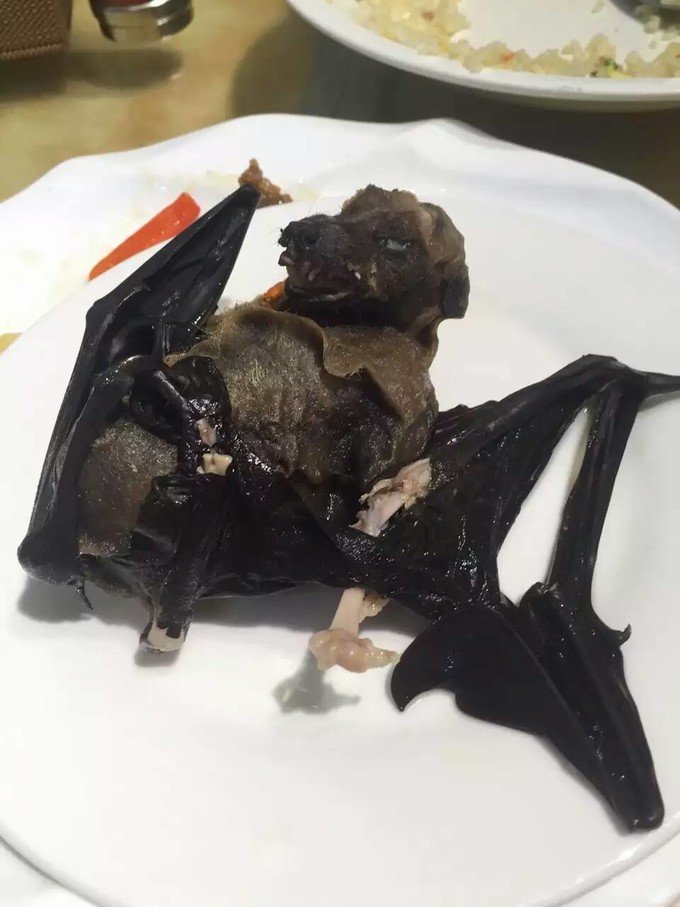 很少人知道的海岛国家！帕劳