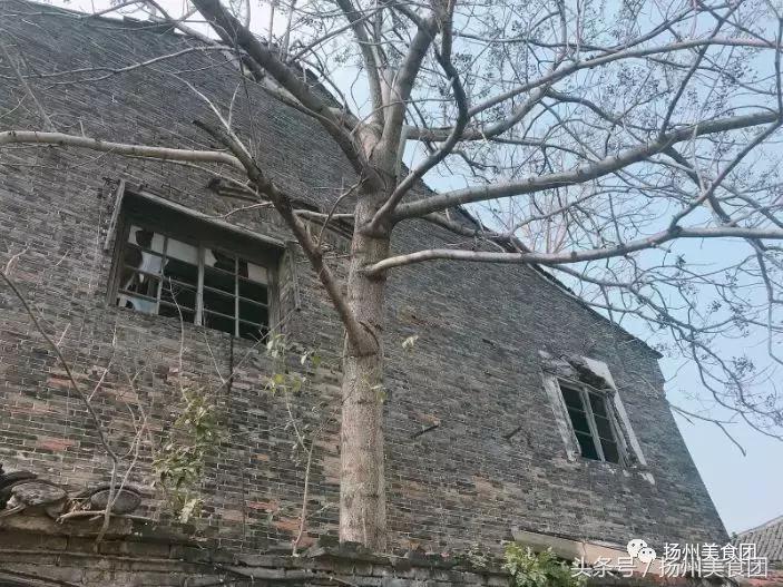 从没隐藏过自己魅力的皮市街，是扬州老城区最好的作品