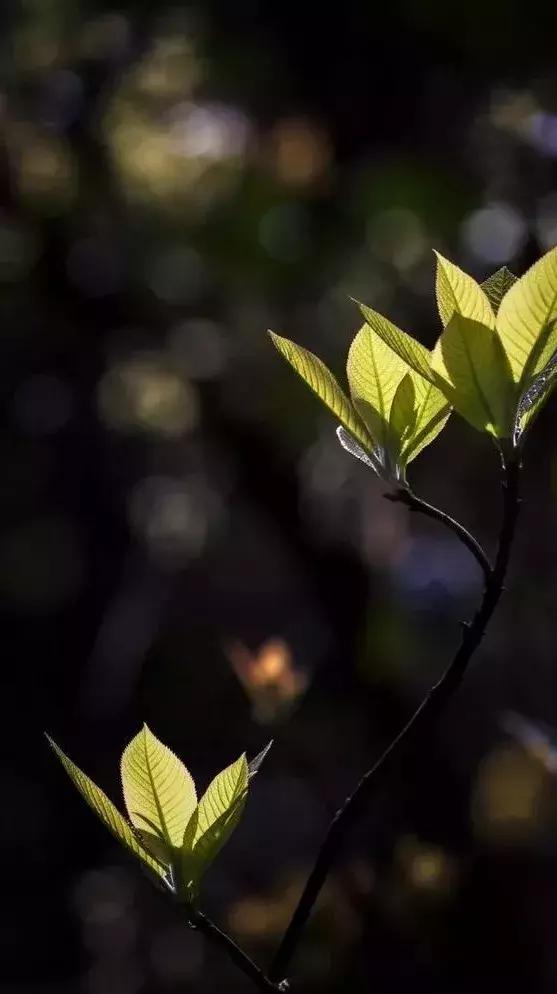 媲美九寨沟的碧湖潭，被誉为萍乡小三峡，是不可错过的世外仙境