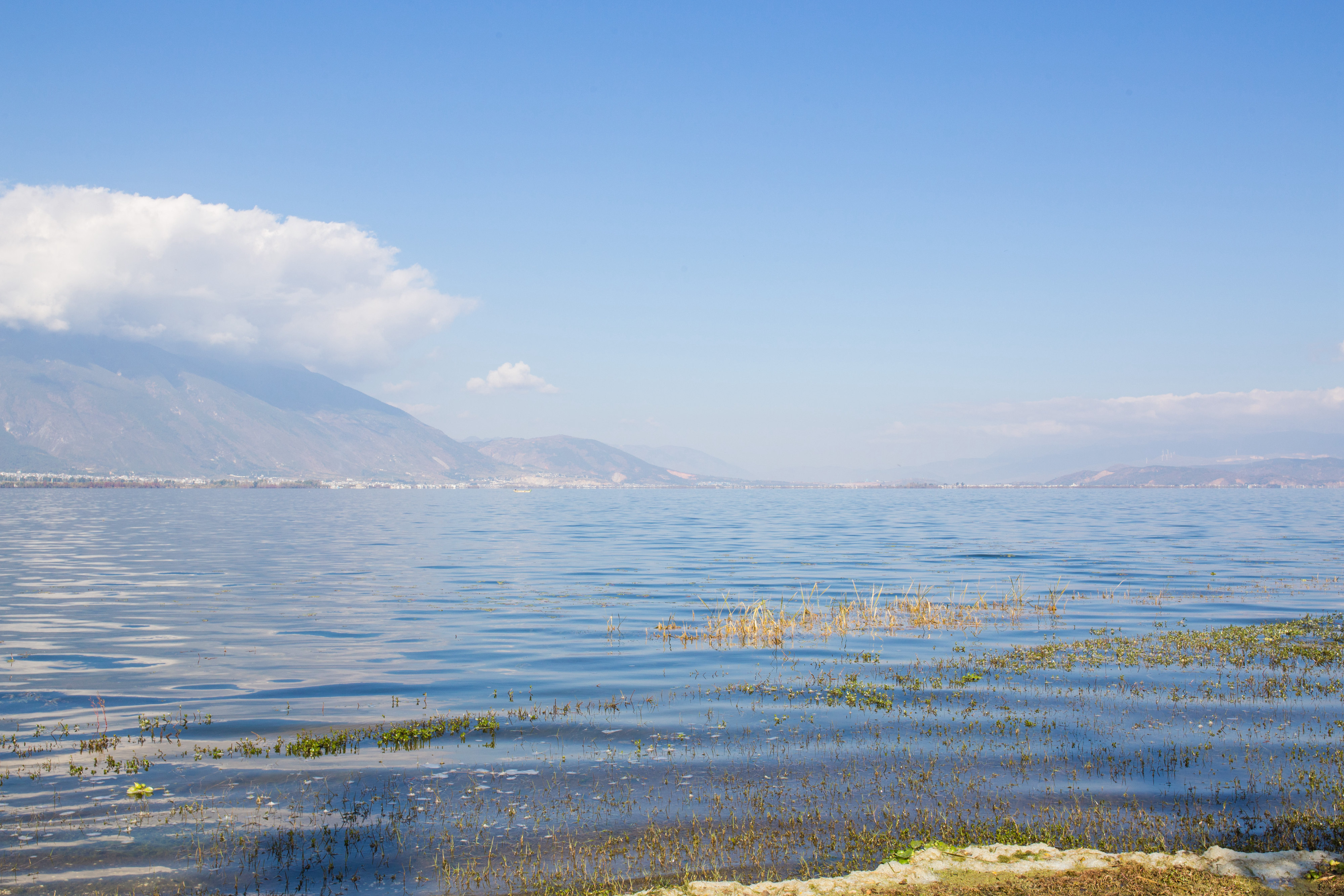洱海边的特别拍照地,洱海的文艺地