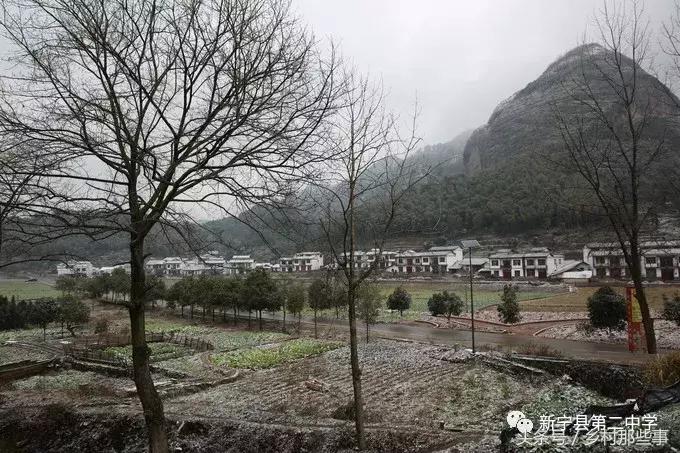 崀山鲸鱼闹海视频,不见鲸鱼的全部小说